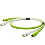 Oyaide Audio Cable 2x RCA male - 2x RCA male 2m (d+ RCA class B)