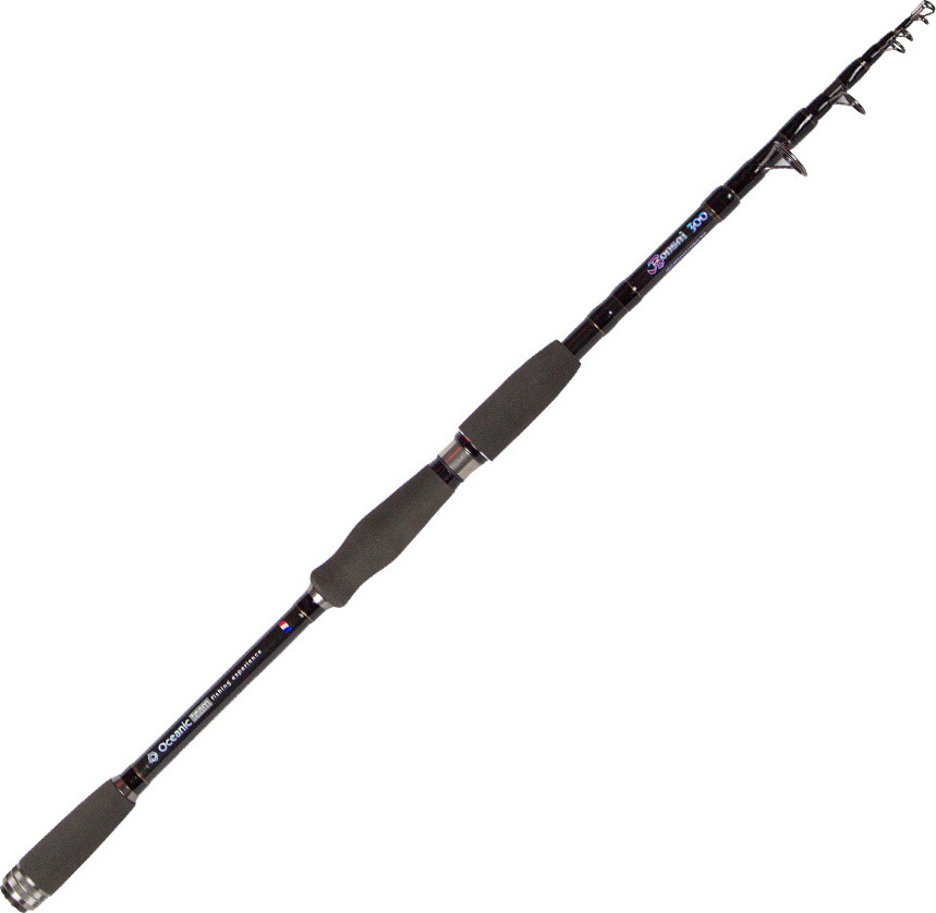 Oceanic Bonsai Καλάμι Ψαρέματος για Spinning / Surf Casting 40-80gr 3.00m 3m