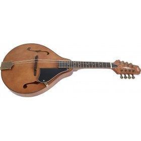 Gewa A-Antique 505.448 Vintage Gewa A-Antique 505.448 Vintage