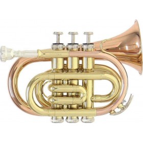 "Roy Benson PT-101G Pocket Trumpet - Bb Roy Benson PT-101G Pocket Trumpet - Bb, Gold