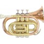 Roy Benson PT-101G Pocket Trumpet - Bb, Gold