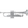 BACH Bb-TRUMPET TR501S ΤΡΟΜΠΕΤΕΣ