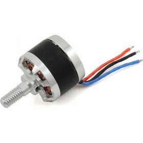 Walkera Rodeo 150 Z-14 Brushless motor (CCW) Walkera Rodeo 150 Z-14 Brushless motor (CCW)