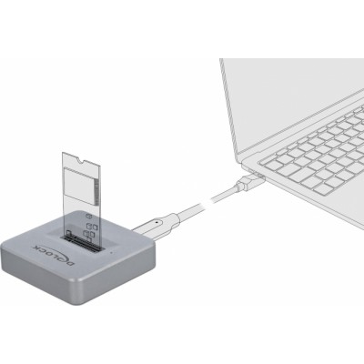 DeLock M.2 Docking Station for M.2 NVMe PCIe SSD with USB Type-C female