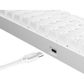 White Shark Shinobi (Outemu Blue) Αγγλικό US White Shark Shinobi (Outemu Blue) Αγγλικό US