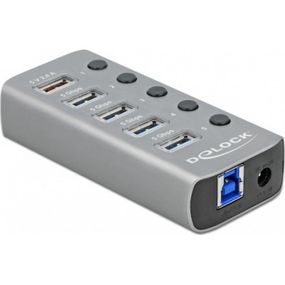 DeLock 6 Port USB 3.2 Gen 1 Hub with 1x USB Type-C PD 3.0 Port