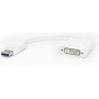 Powertech DisplayPort male - DVI-I female (CAB-DP005)