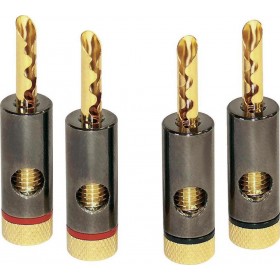 Dynavox Banana male (206436) Dynavox Banana male (206436)