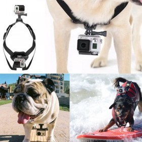 Dog Harness Universal