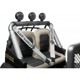 Gaucho XPΚωδικός: OD0555 