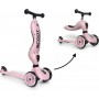 Scoot &amp Ride Highwaykick 1 96270 Rose