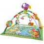 Fisher Price Rainforest Music &amp Lights Deluxe Gym