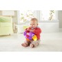 Fisher Price Rainforest Music &amp Lights Deluxe Gym