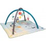 Taf Toys North Pole 4 Season Gym