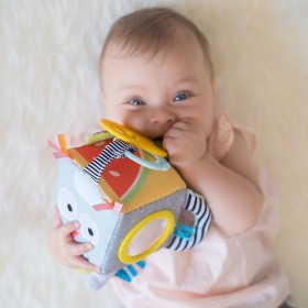 Taf Toys Developmental Cube Taf Toys Developmental Cube