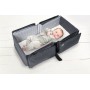 Doomoo Baby Travel Grey