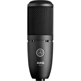 AKG Πυκνωτικό Μικρόφωνο XLR Perception 120 Τοποθέτηση Shock Mounted/Clip On Φωνής AKG Πυκνωτικό Μικρόφωνο XLR Perception 120 Τοποθέτηση Shock Mounted/Clip On Φωνής