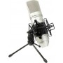 Tascam Πυκνωτικό Μικρόφωνο XLR TM-80 Τοποθέτηση Shock Mounted/Clip On Φωνής σε Χρυσό Χρώμα