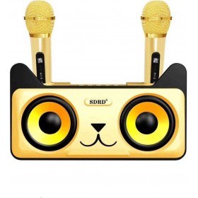 Σύστημα Karaoke με Ασύρματα Μικρόφωνα SDRD 305 σε Χρυσό Χρώμα Σύστημα Karaoke με Ασύρματα Μικρόφωνα SDRD 305 σε Χρυσό Χρώμα