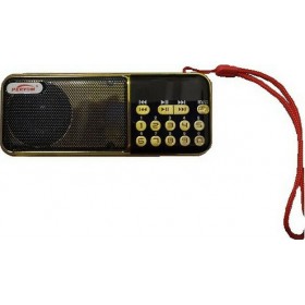 M100 Φορητό Ραδιόφωνο Επαναφορτιζόμενο με USB Μαύρο