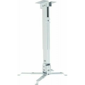 Iggual Βάση Projector Οροφής STP01-S με Μέγιστο Φορτίο 18kg ΛευκήΚωδικός: IGG314692 