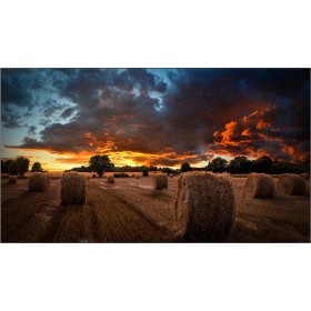 Samsung VM55T-U Public Display IPS Full HD 55"