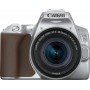 Canon DSLR Φωτογραφική Μηχανή EOS 250D Crop Frame Kit (EF-S 18-55mm F4-5.6 IS STM) Silver