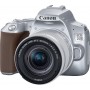 Canon DSLR Φωτογραφική Μηχανή EOS 250D Crop Frame Kit (EF-S 18-55mm F4-5.6 IS STM) Silver