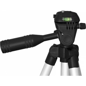 Esperanza CedarΚωδικός: EF108  Esperanza CedarΚωδικός: EF108