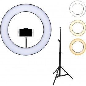 Andowl Ring Light Q-JC100 25cm 2500-4500K με Τρίποδο Δαπέδου και Βάση για Κινητό