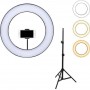 Andowl Ring Light Q-JC100 25cm 2500-4500K με Τρίποδο Δαπέδου και Βάση για Κινητό