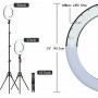 Zomei Ring Light LED Ring Light 45cm 5500K με Τρίποδο Δαπέδου και Βάση για Κινητό